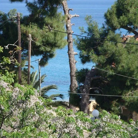 Alexander Lejlighed *